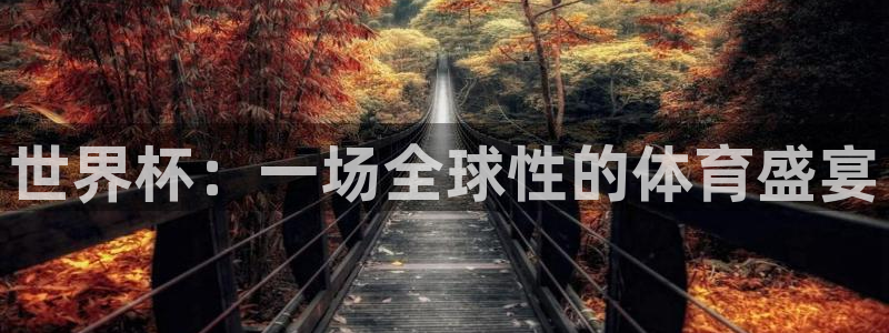 世界杯直播高清：世界杯：一场全球性的体育盛宴