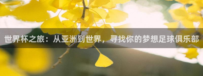 女足世界杯直播在线观看免费高清：世界杯之旅：从亚洲到世界，寻找你的梦想足球俱乐部