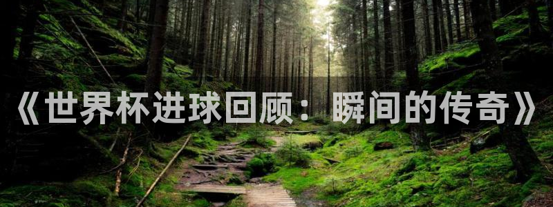世界杯附加赛赛程表：《世界杯进球回顾：瞬间的传奇》