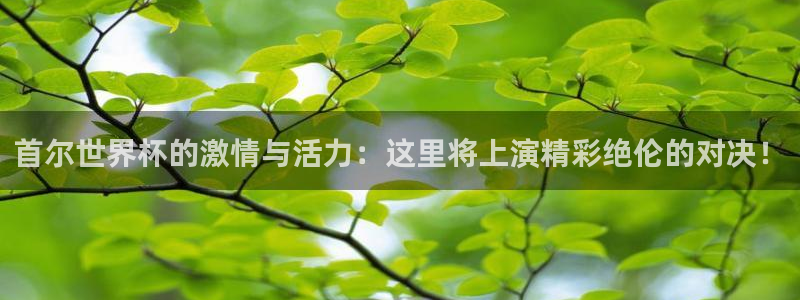 2026年男足世界杯：首尔世界杯的激情与活力：这里将上演精彩绝伦的对决！