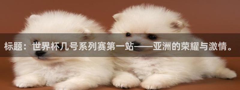 世界杯欧洲区赛程：标题：世界杯几号系列赛第一站——亚洲的荣耀与激情。