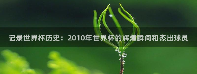 2026世界杯：记录世界杯历史：2010年世界杯的辉煌瞬间和杰出球员