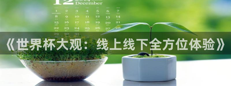 世界杯足球赛2026：《世界杯大观：线上线下全方位体验》