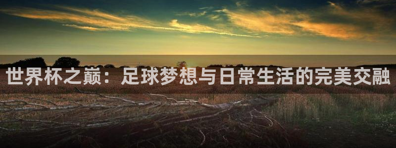 世界杯2026赛制：世界杯之巅：足球梦想与日常生活的完美交融