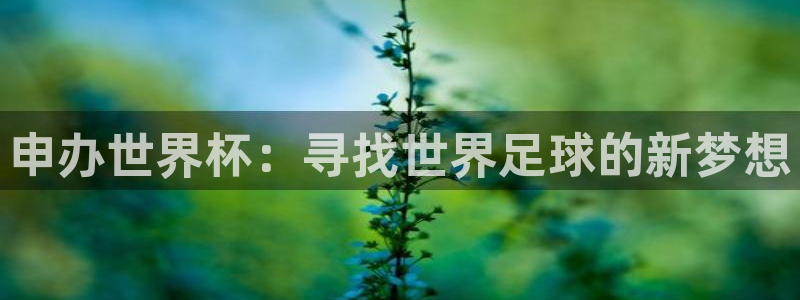 2026世界杯赛制：申办世界杯：寻找世界足球的新梦想
