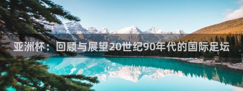 预选赛世界杯：亚洲杯：回顾与展望20世纪90年代的国际足坛
