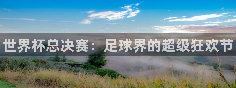 世界杯系列赛：世界杯总决赛：足球界的超级狂欢节