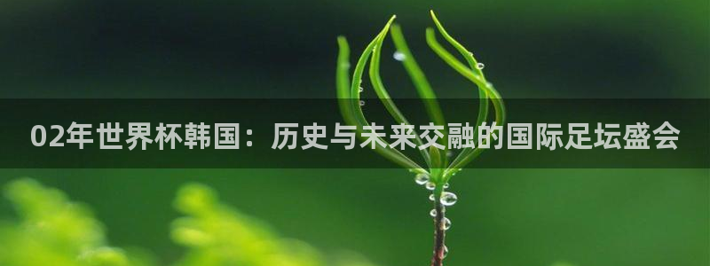 2026世界杯赛：02年世界杯韩国：历史与未来交融的国际足坛盛会